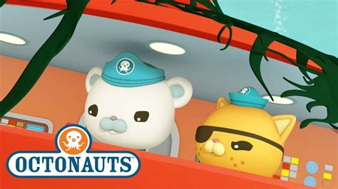 Octonauts Any Fin Is Possible Cartoons For Kids Underwater Sea