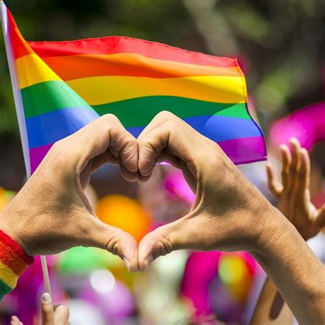 Conoce El Origen Y Significado De La Bandera Gay Video Homofobico O