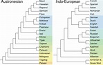 Figure S4: Trees for the Austronesian and Indo-European language ...