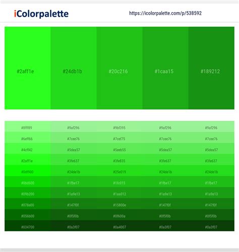 Lime Green Color Codes The Hex Rgb And Cmyk Values That You Need