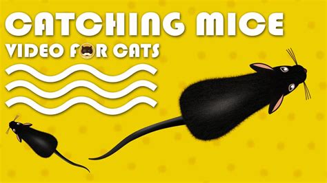 Cat Games Catching Mice Entertainment Video For Cats To Watch Cat