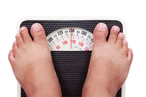 Shed Pounds Slowly Gut Bugs May Be Missing Link
