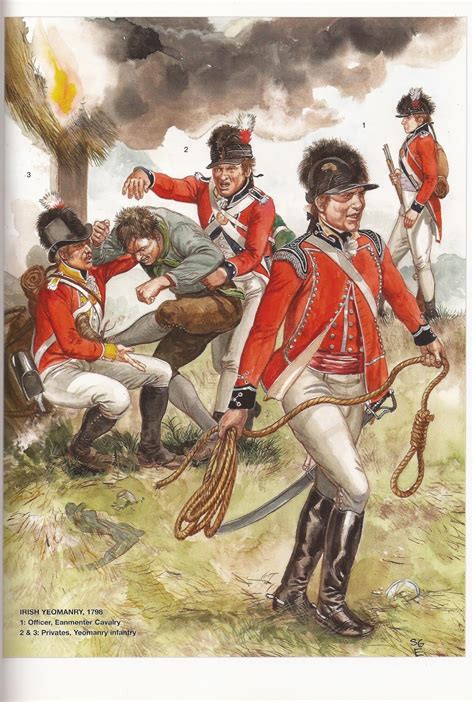Sabre And Bayonet Armies Of The Irish Rebellion 1798 Reidembleton