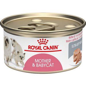 However, we also love the royal canin feline health nutrition loaf canned cat food. Best Kitten Food in 2019 | Wet, Canned & Dry | Reviews ...