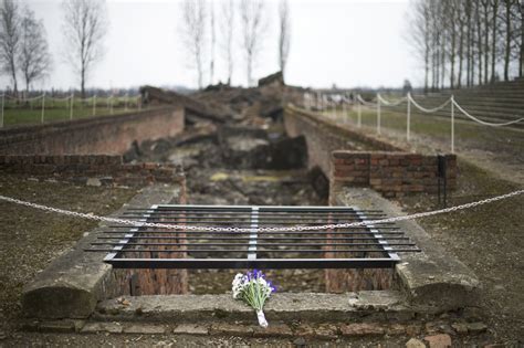 Preserving The Ghastly Inventory Of Auschwitz The New York Times