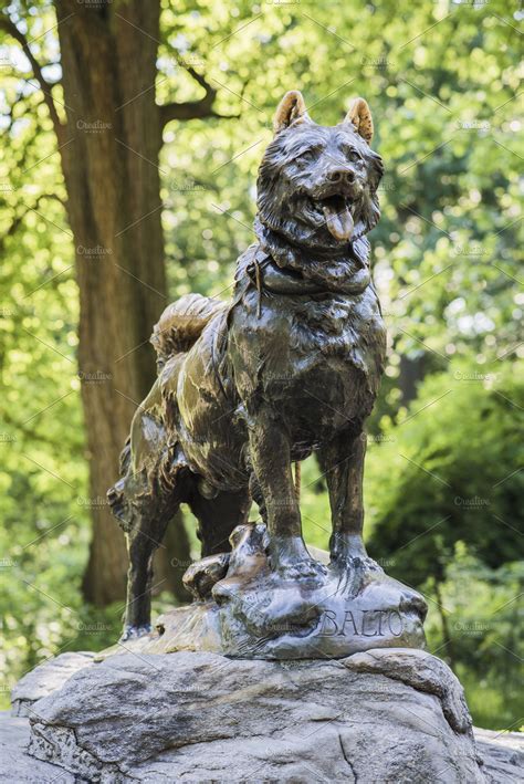 Balto Statue In Central Park High Quality Architecture Stock Photos
