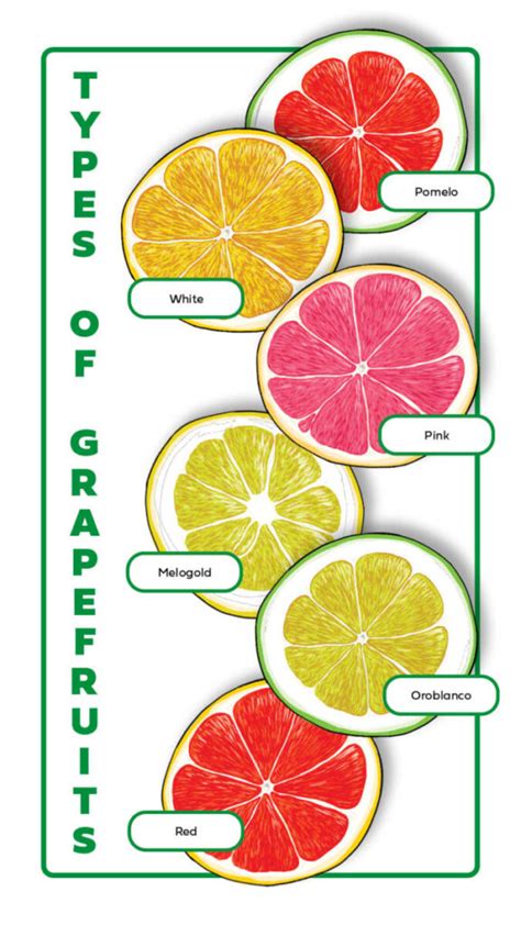 Types Of Grapefruits A Guide The Table By Harry And David