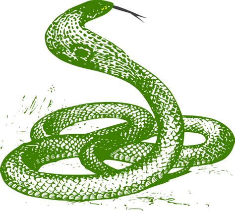Green Snake Clip Art At Vector Clip Art Online Royalty