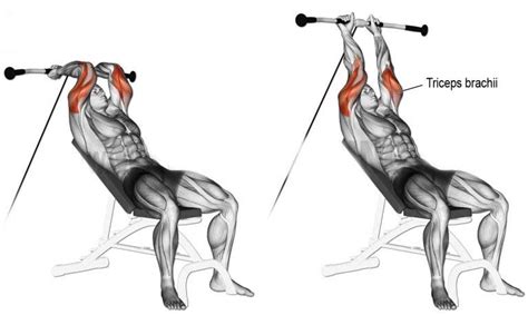 How To Cable Machine And Tricep Overhead Extensions