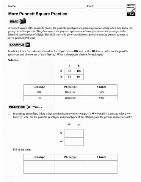 Monohybrid cross worksheet answer key. Monohybrid Crosses Worksheet Answers Monohybrid Cross Practice Worksheet Nidecmege | Punnett ...