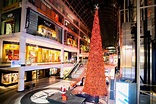 Eaton Centre unveils Toronto's tallest Christmas tree for the holidays