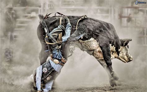 Bull Riding Wallpapers Wallpaper Cave