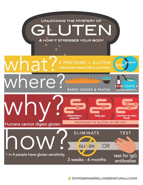 Unlocking The Mystery Of Gluten And How It Stresses Your Body