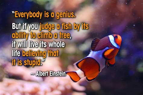“everybody Is A Genius But If You Judge A Fish By Its Ability To Climb