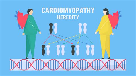 Heredity Cardiomyopathy Concept 965616 Vector Art At Vecteezy