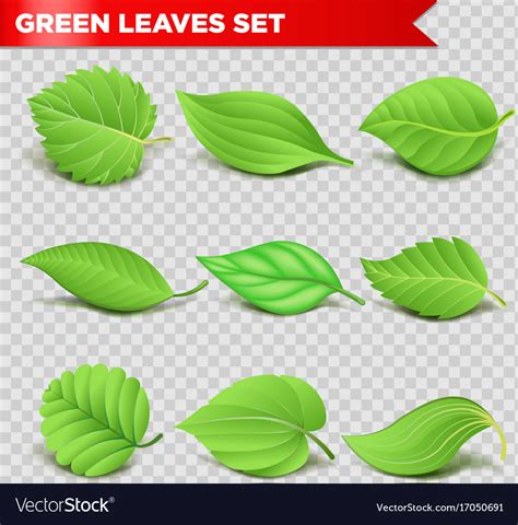 Green Leaf 3d Realistic Icons Eco Environment Vector Image