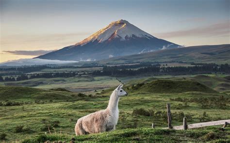 Ecuador lies in the northwestern corner of south america, bordered by colombia to the north, peru to the south and east, and the pacific ocean to the west. The perfect holiday in Ecuador - our expert's ultimate ...