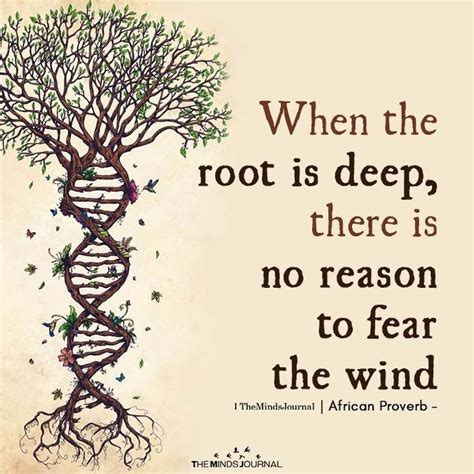 When The Root Is Deep Roots Quotes Roots Mindset Quotes