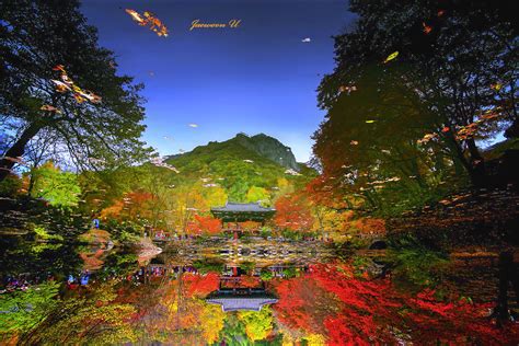 Autumn Reflection By Jaewoon U Photo 52666144 500px