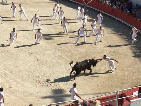 La Course Camarguaise And The Cocarde Dor Event In Arles France