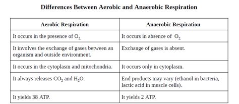 Difference Between Aerobic And Anaerobic Respiration Class
