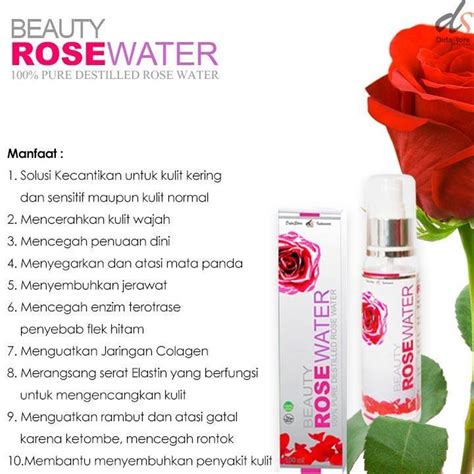 Oleh sebab itu, tidak heran jika diberbagai tempat harga air mawar mengalami perbedaan atau selisih harga. khasiat air mawar untuk rambut