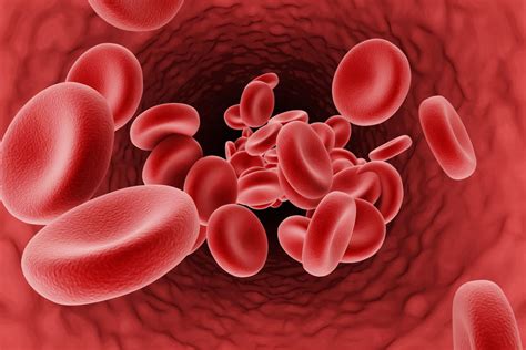 Globules Rouges Hématies Les Causes Dun Taux Trop élevé Ou Trop Bas