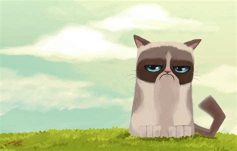 Download Grumpy Cat Clipart For Free Designlooter 2020 👨‍🎨