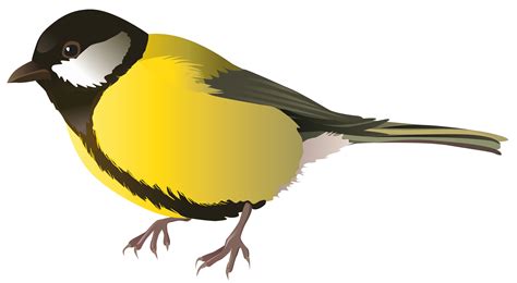 Yellow Bird Png Clipart Best Web Clipart