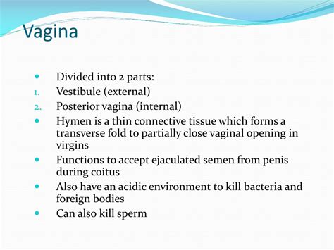 Ppt Female Reproductive System Powerpoint Presentation Free Download Id
