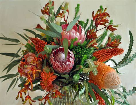 Protea And Banksia Protea Cagrown Australian Native Flowers Flower