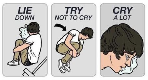 Harry Styles Safety Instruction Parody Lie Down Try Not To Cry Cry A Lot Know Your Meme