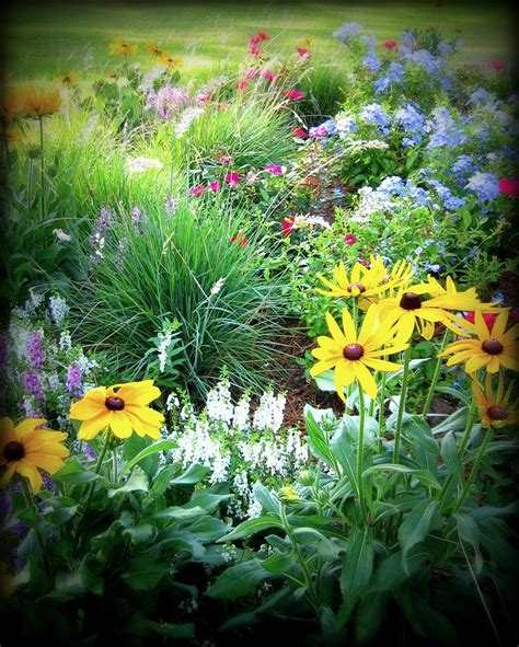 There are many that can play their part nobly in the provision of seasonal flowers. summer perennial border | Beautiful gardens, Perennials ...