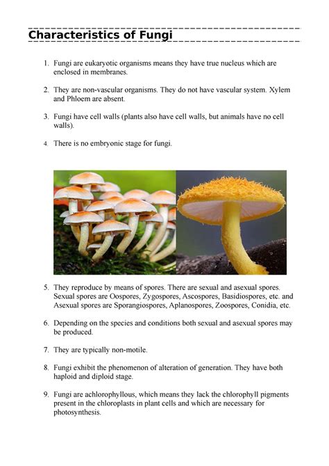 Characteristics Of Fungi Characteristics Of Fungi Fungi Are Eukaryotic Organisms Means They