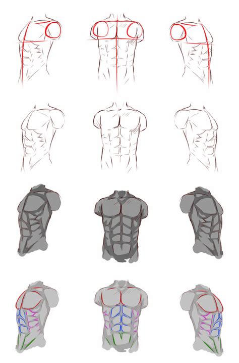 How to draw anime anatomy, step by step, drawing guide, by puzzlepieces. Male anatomy by ryky on DeviantArt