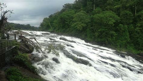 Top 14 Waterfalls Near Trivandrum That Will Attract All Travelers In 2023