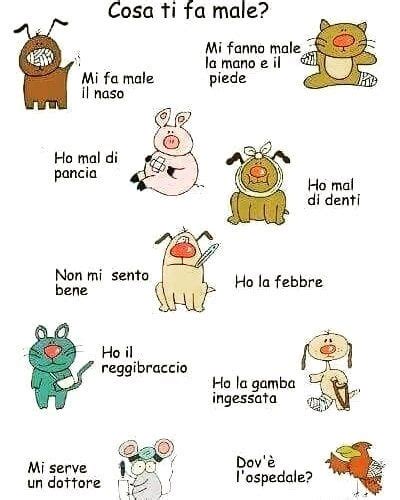 An Image Of Some Animals That Are In Spanish