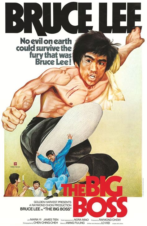 The Big Boss 1971 Movie Poster Best Martial Arts Kung Fu Martial