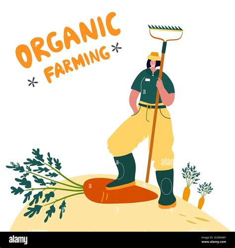 Organic Farming Agricultural Workers Planting And Gathering Crops