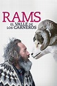 Rams (El valle de los carneros) (película 2015) - Tráiler. resumen ...