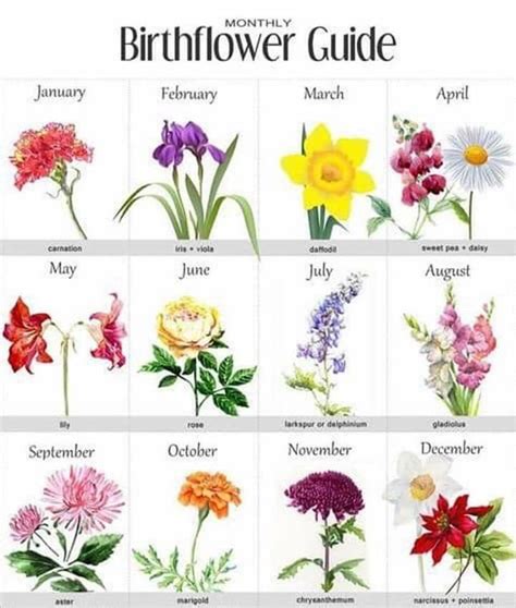 birthflower guide birth flowers birth flower tattoos birth month flowers