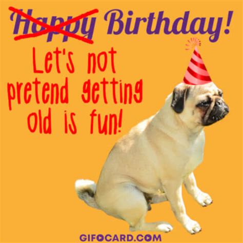 Funny Animated Ecard Free Birthday Ecards Send Animated Birthday Ecards Online