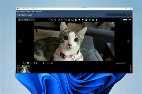 Best Photo Viewer For Windows 11 Top 7 Tested