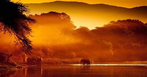 Lower Zambezi National Park Zambia For A Luxury Safari In Africas