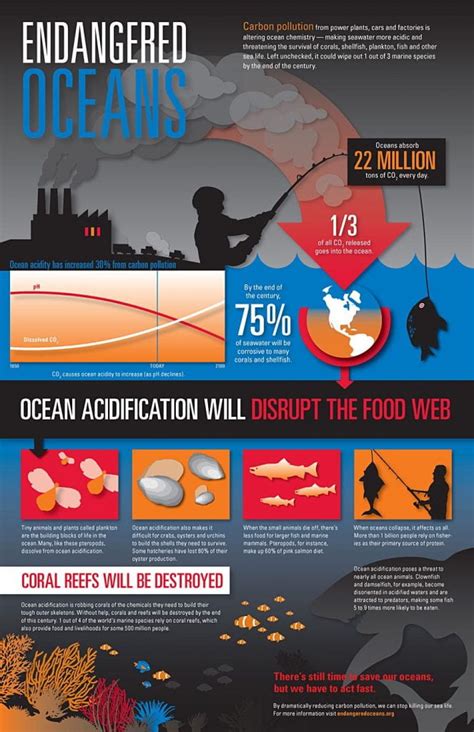 Types Of Ocean Pollution Ocean Cleanup