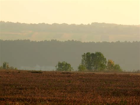 Free Images Landscape Tree Nature Forest Horizon Marsh Cloud