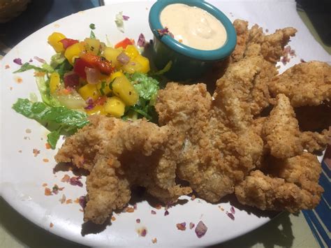 The Conch Republic Grill Donsfoodcritic