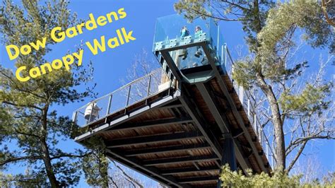 A Visit To The Canopy Walk At Dow Gardens In Midland Michigan Youtube