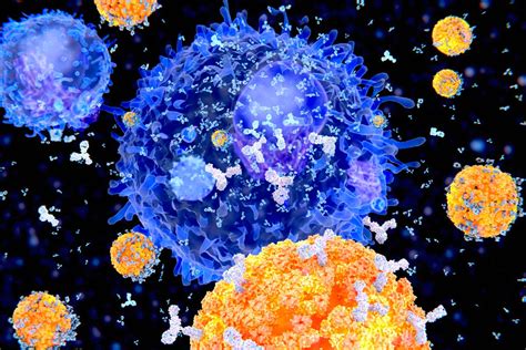Antibodies New Scientist