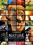 [REPELIS VER] Nature 3D [2014] Película Completa Gratis Online En ...